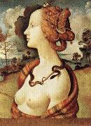 Piero di Cosimo Portrait of Simonetta Vespucci Spain oil painting artist